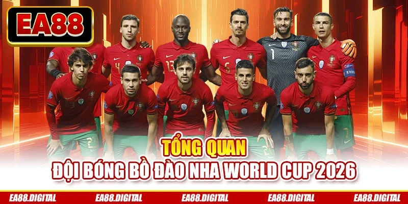 Tổng quan đội bóng Bồ Đào Nha World Cup 2026
