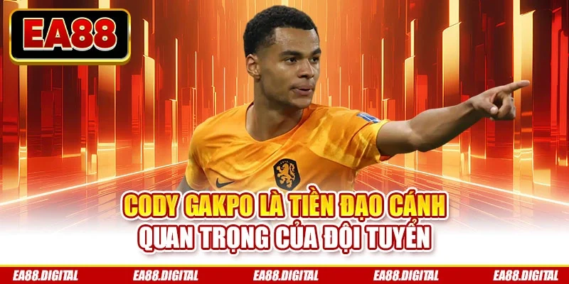 Cody Gakpo là tiền đạo cánh quan trọng của đội tuyển