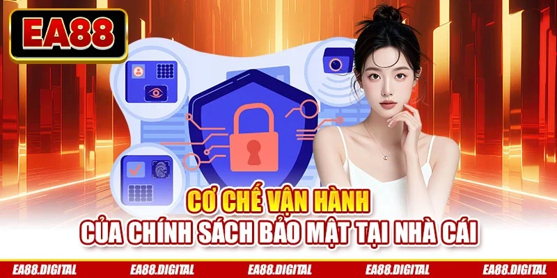 Cơ chế vận hành của chính sách bảo mật tại nhà cái