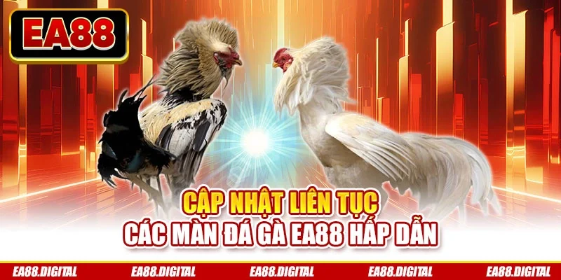 Cập nhật liên tục các màn đá gà EA88 hấp dẫn