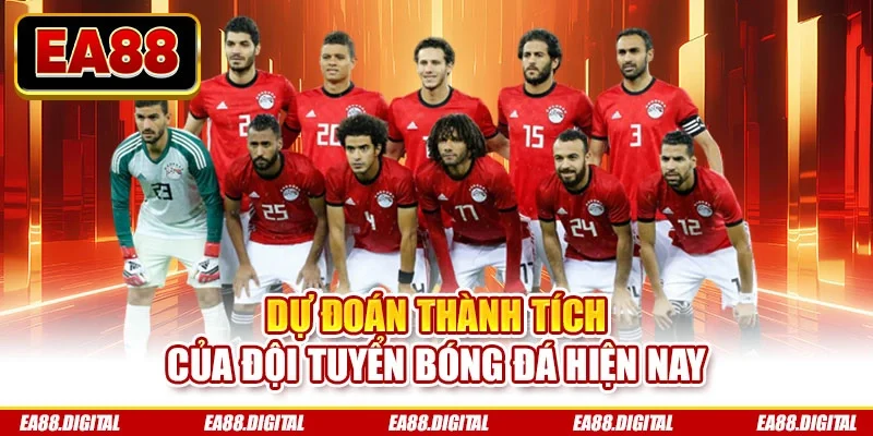 Dự đoán thành tích của đội tuyển bóng đá hiện nay