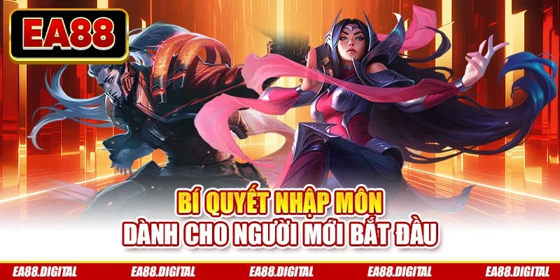 Bí quyết nhập môn dành cho người mới bắt đầu