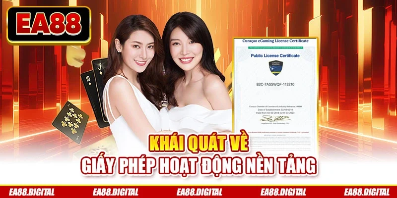 Khái quát về giấy phép hoạt động nền tảng