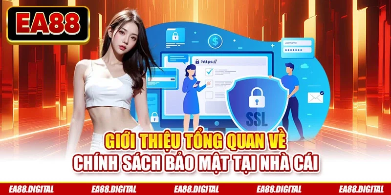 Giới thiệu tổng quan về chính sách bảo mật tại nhà cái