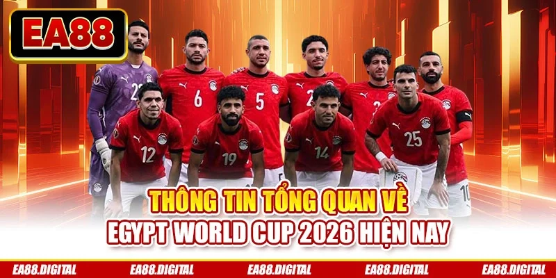 Thông tin tổng quan về Egypt World Cup 2026 hiện nay