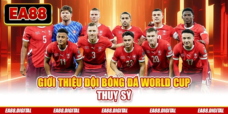 Giới thiệu đội bóng đá World Cup Thuỵ Sỹ